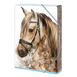 Füzetbox ARGUS A/5 Amazing Horse 1241-0293